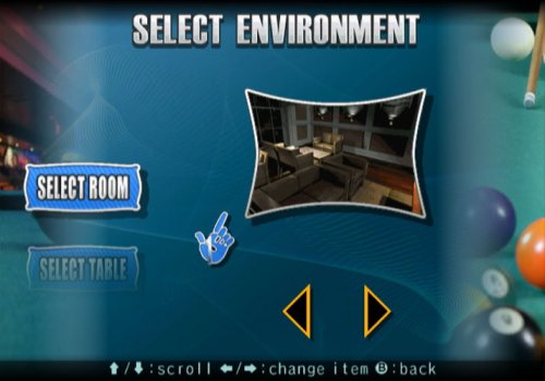 Pool Party - Nintendo Wii