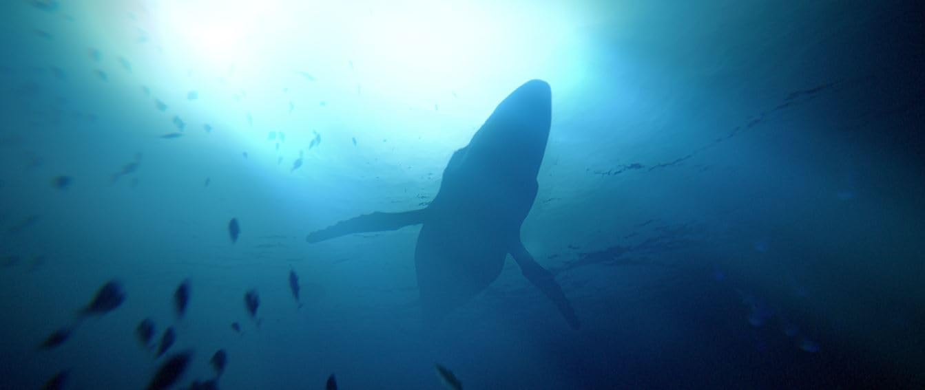 Under the Waves - PlayStation 4