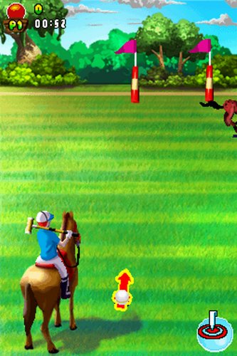 101 In 1 Sports - Nintendo DS [video game]