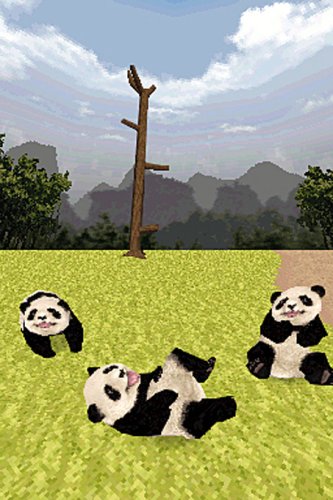 National Geographic Panda - Nintendo DS