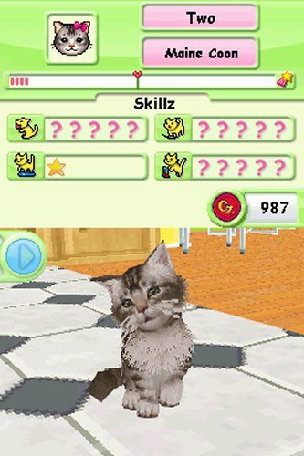 Petz Cats Playground - Nintendo DS