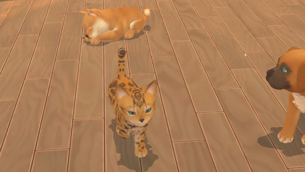 My Universe: Puppies and Kittens - PlayStation 4