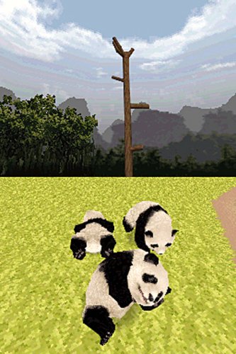 National Geographic Panda - Nintendo DS