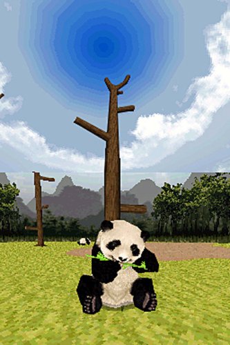 National Geographic Panda - Nintendo DS