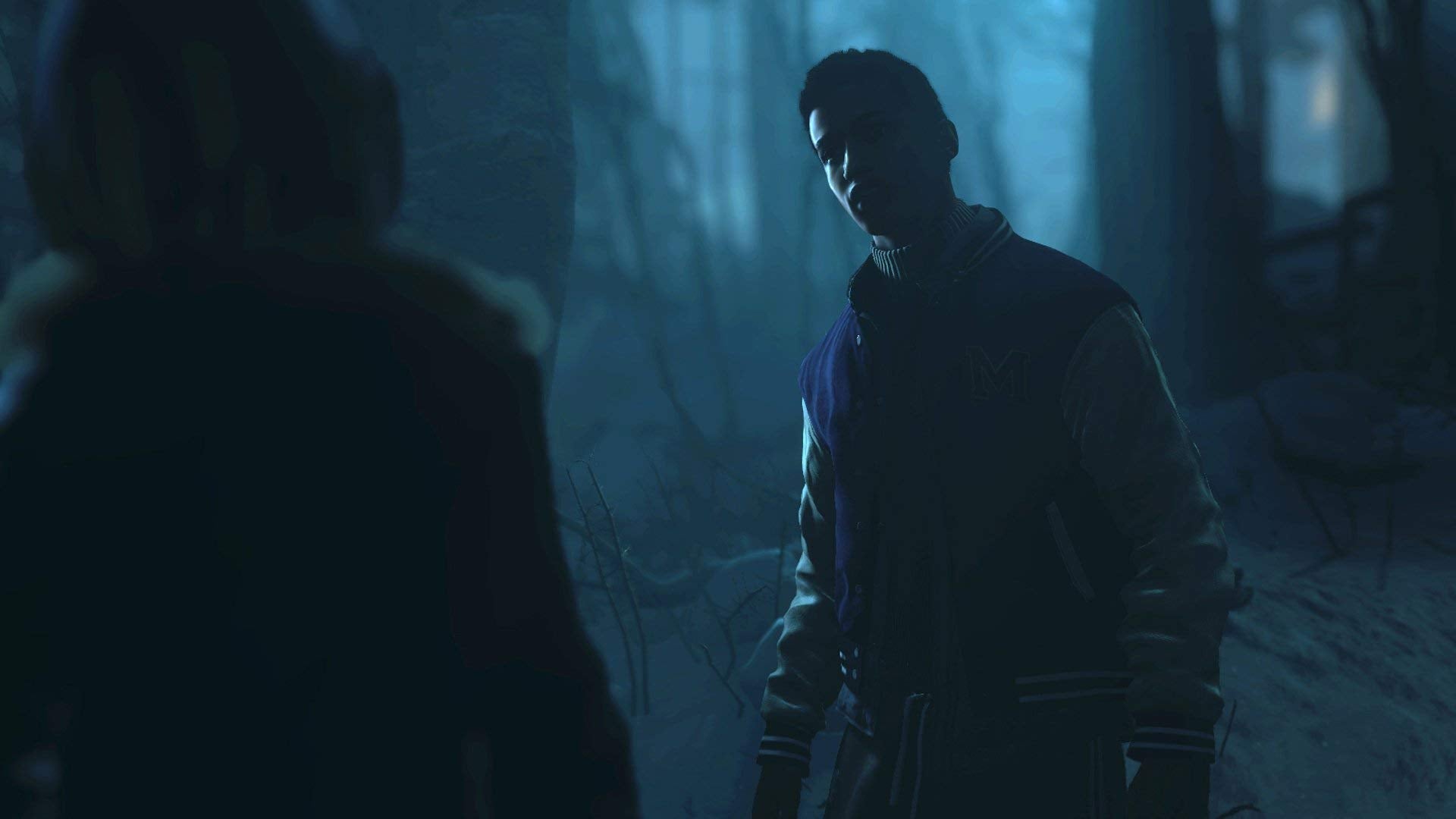 Until Dawn (PlayStation Hits) - PlayStation 4