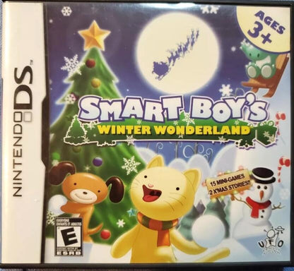 Smart Boys Winter Wonderland - Nintendo DS