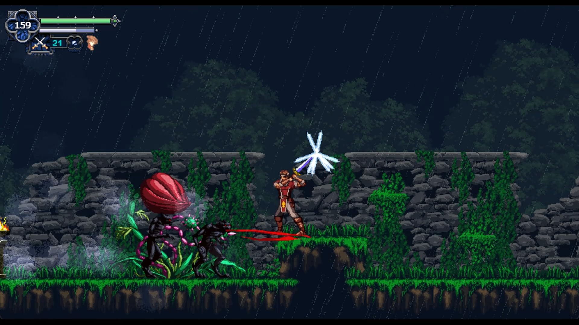 Chronicles of the Wolf - Nintendo Switch