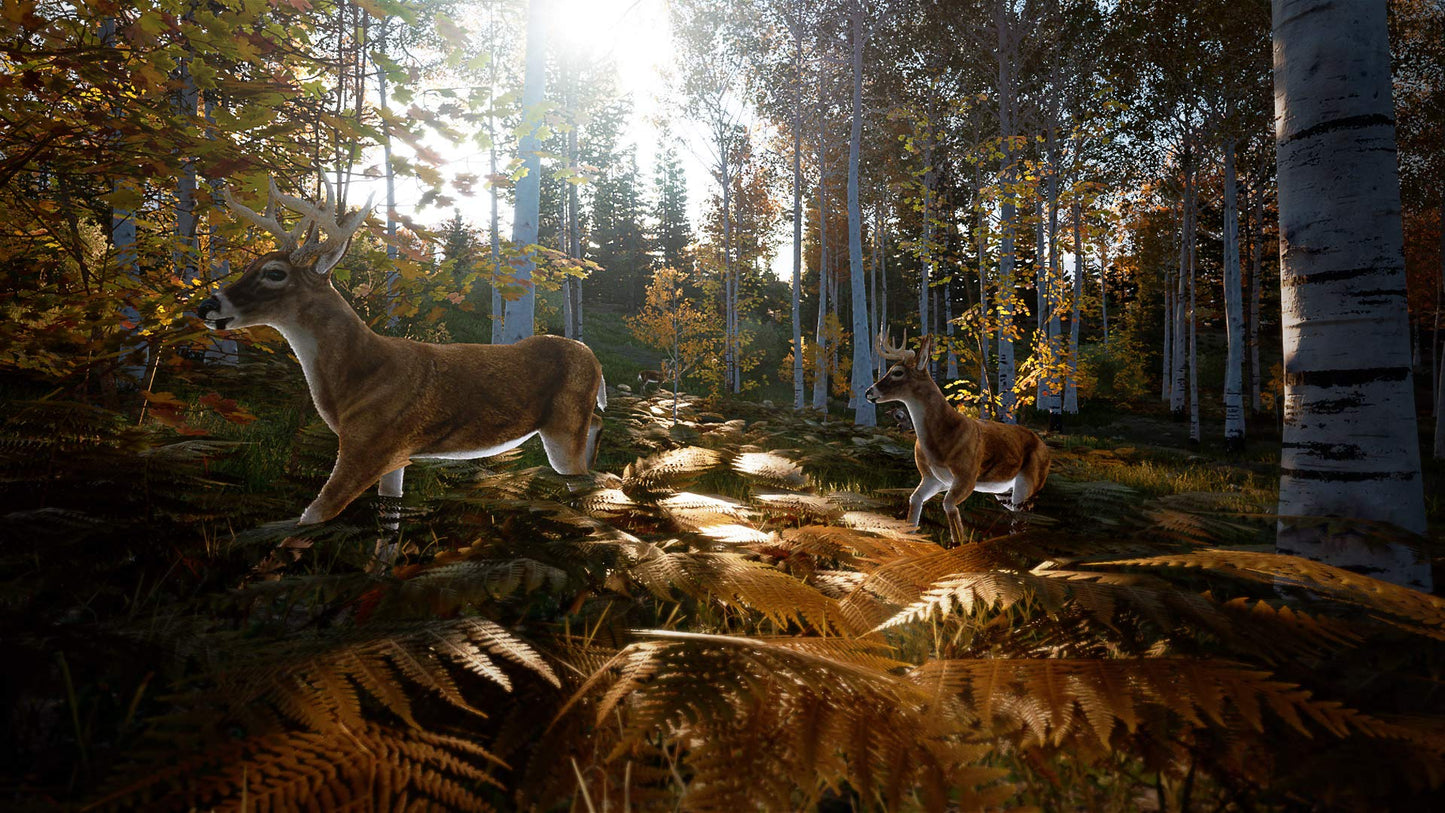 Hunting Simulator 2 - PlayStation 4