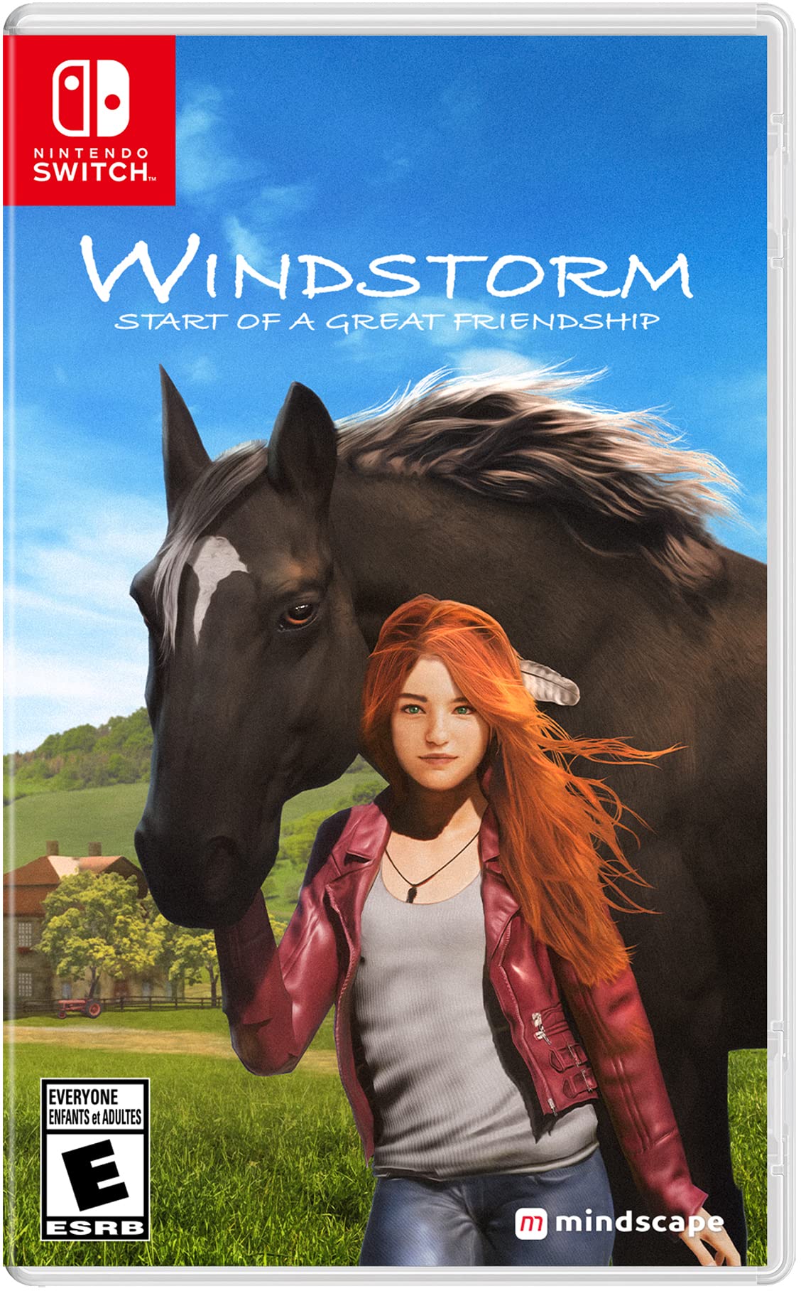 Windstorm: Start of a Great Friendship - Nintendo Switch