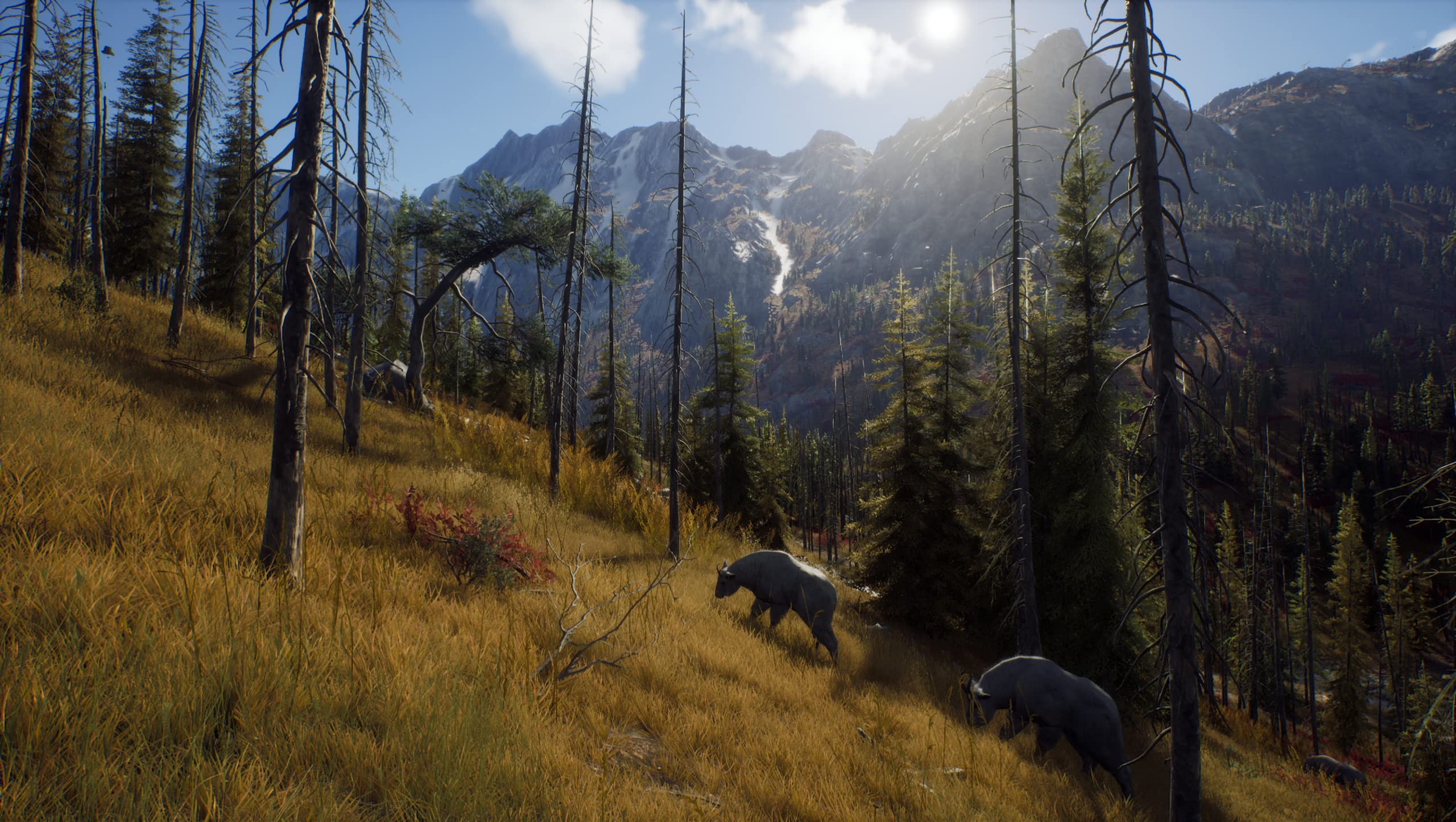 Way of The Hunter - PlayStation 5