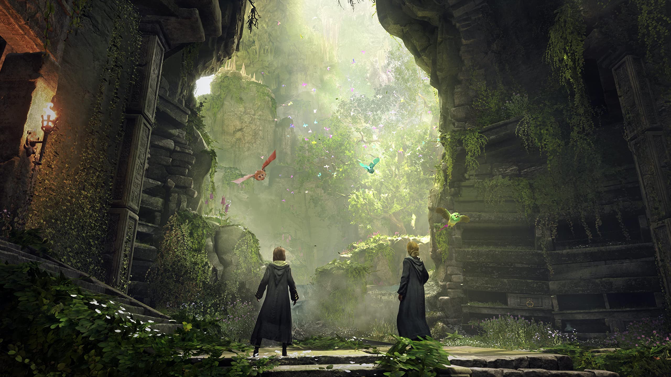 Hogwarts Legacy Collector's Edition - Xbox One