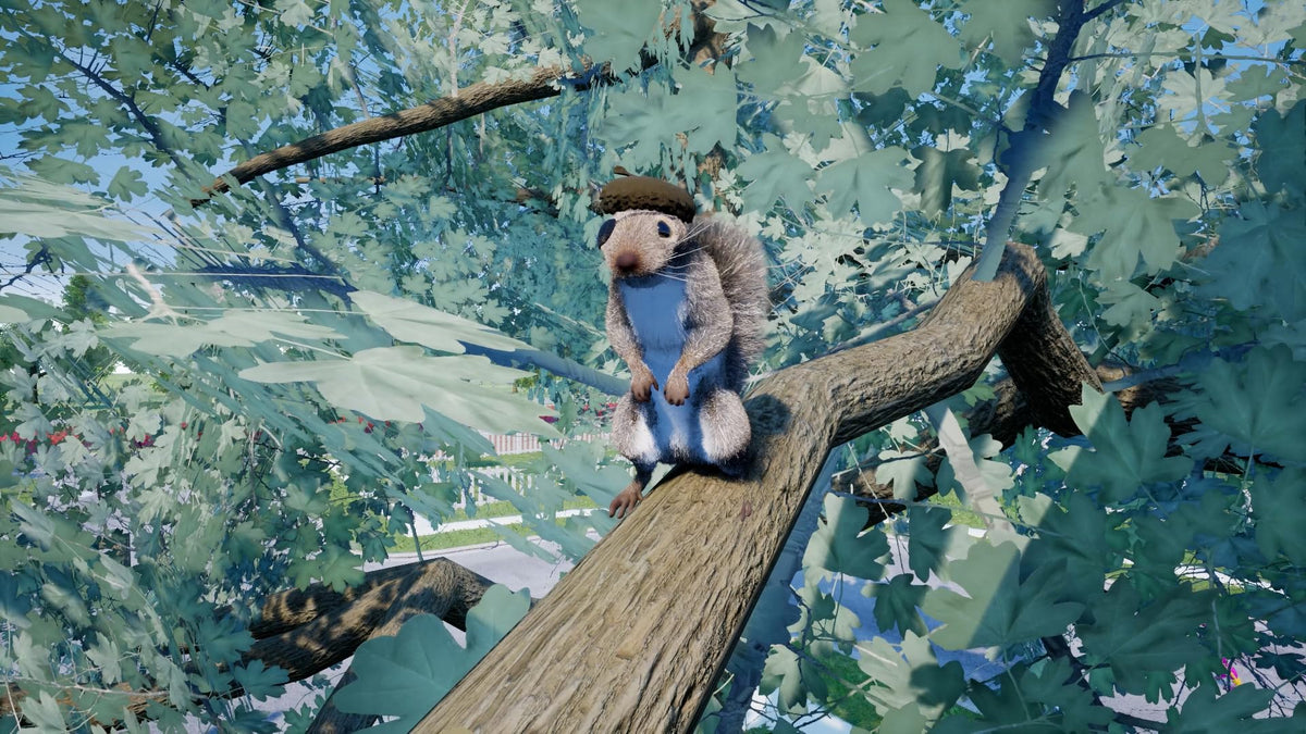 Squirrel with a Gun XSX