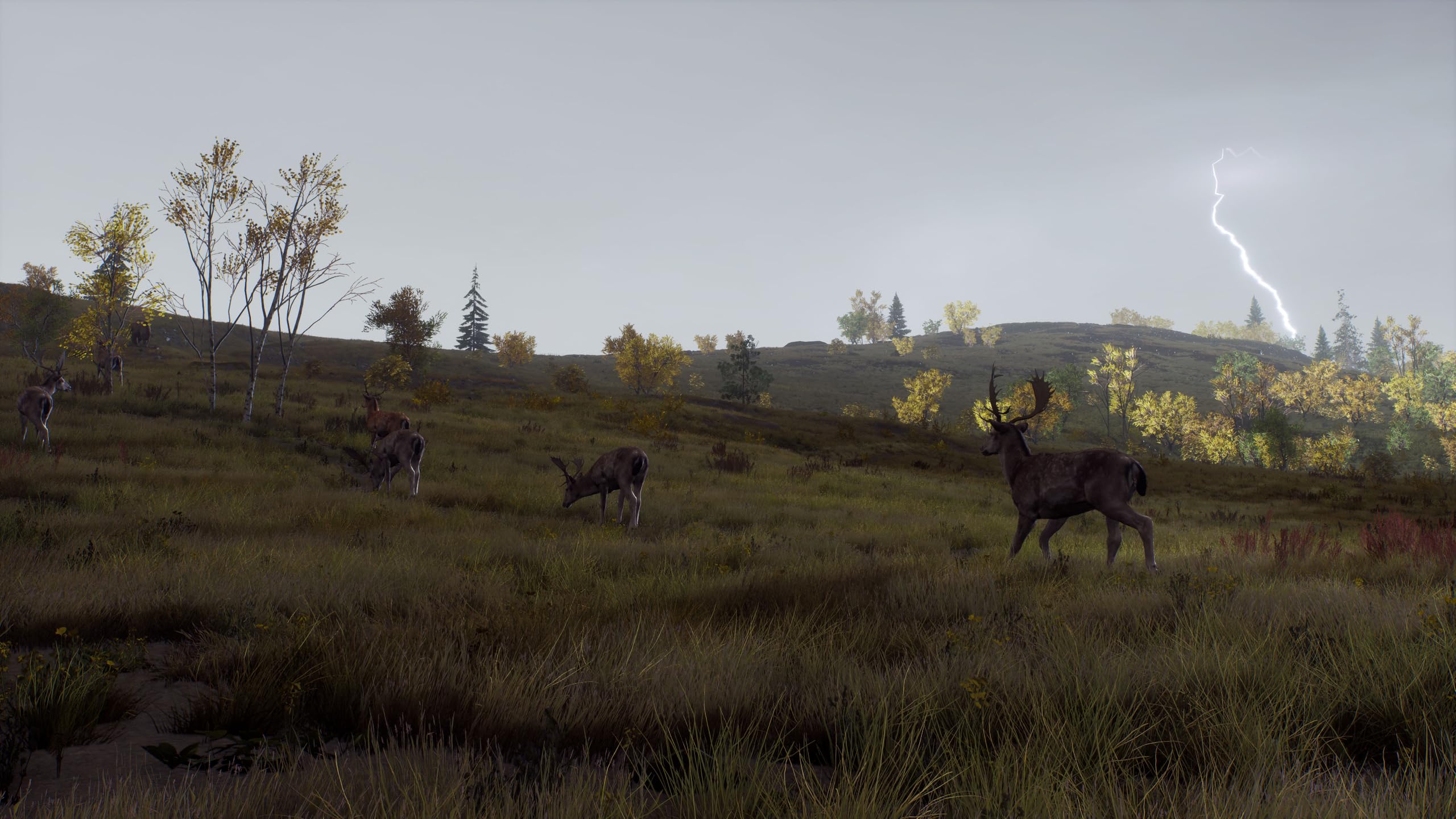 Way of the Hunter - Wild Expeditions - PlayStation 5 [video game]