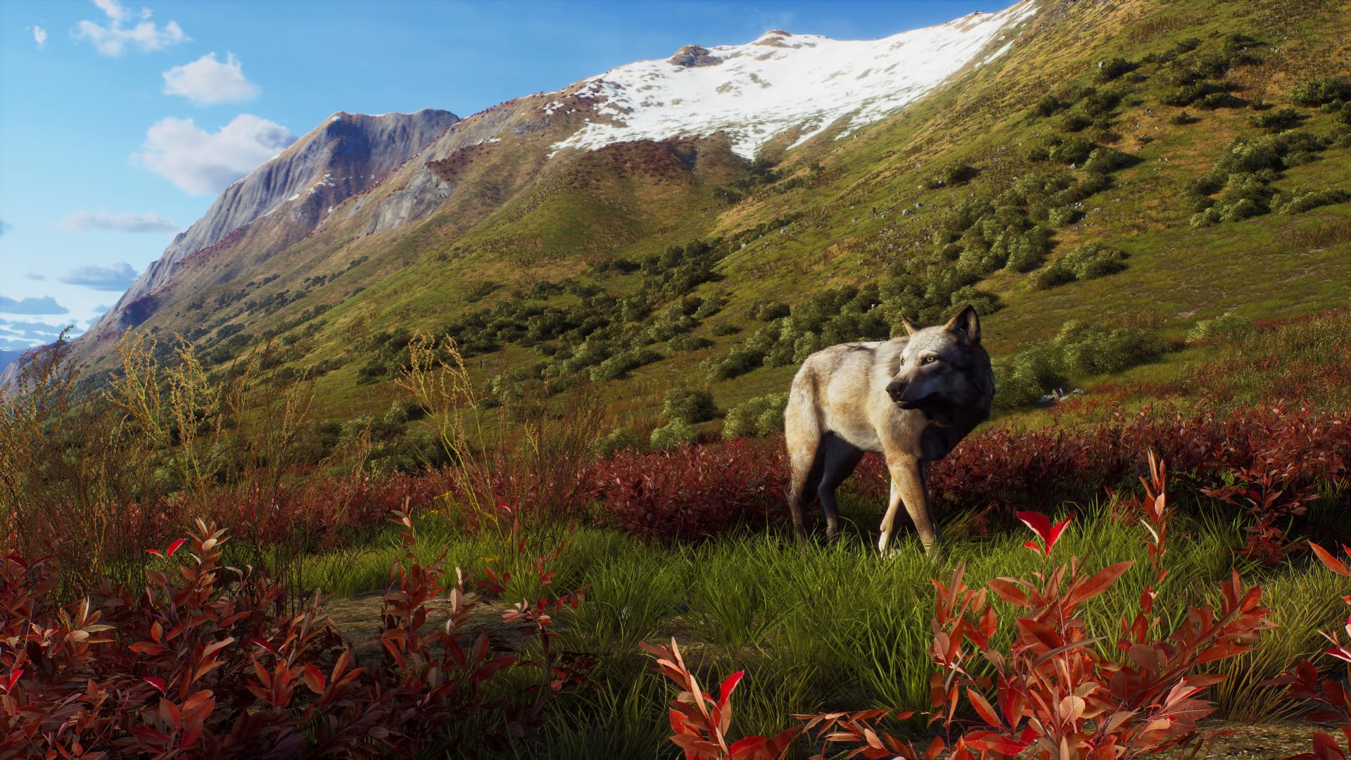 Way of the Hunter - Wild Expeditions - PlayStation 5 [video game]