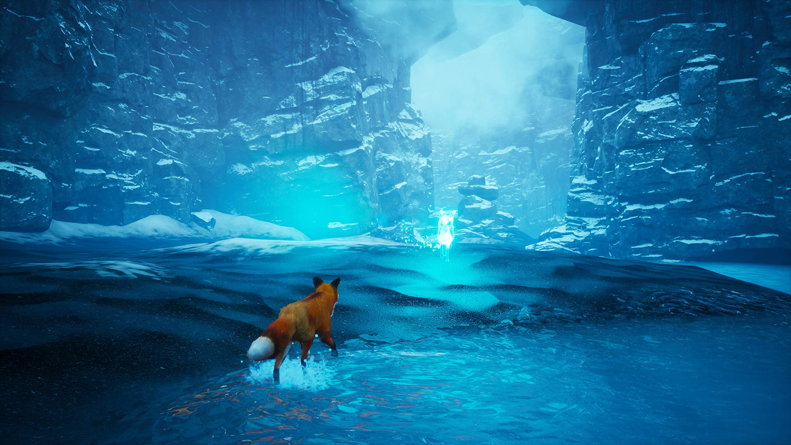 Spirit of The North - PlayStation 5