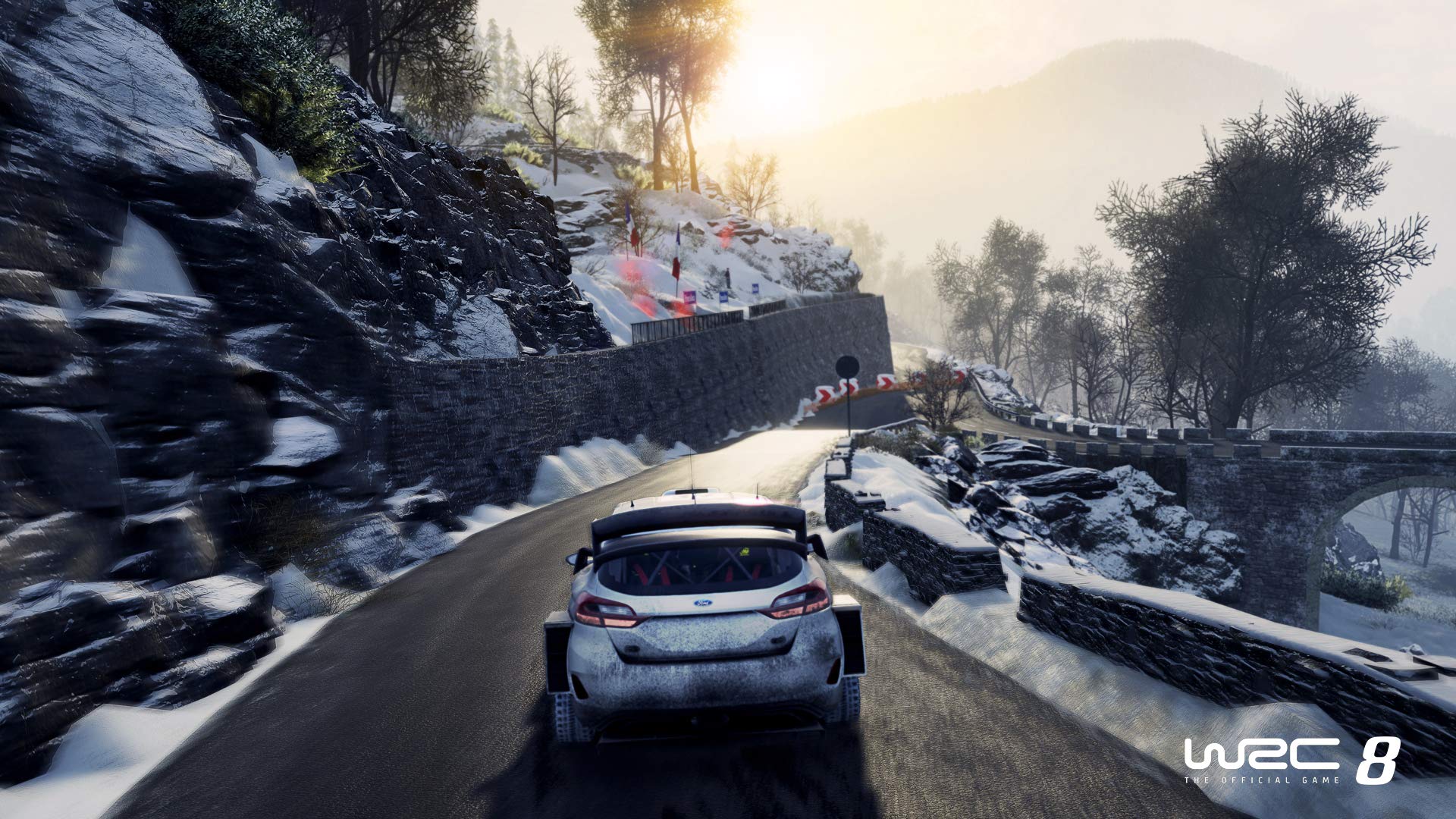 WRC 8: FIA World Rally Championship - PlayStation 4
