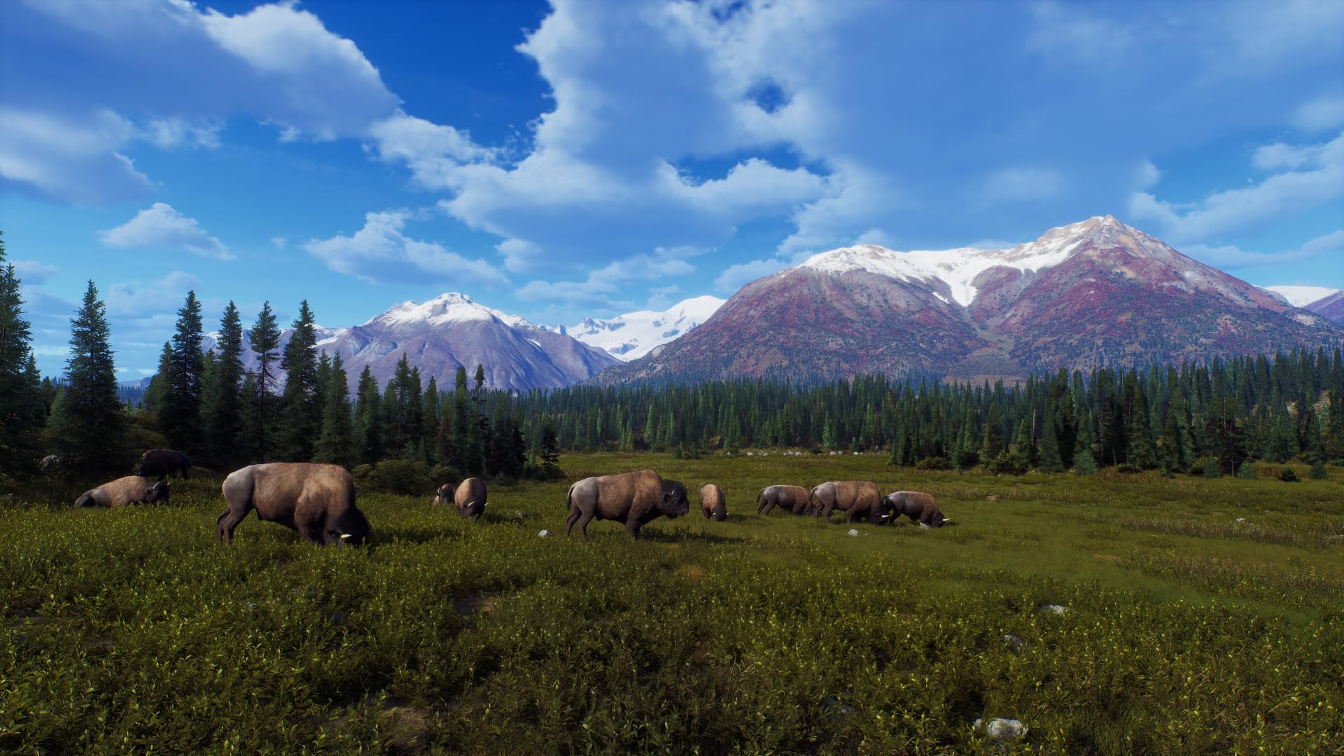 Way of the Hunter - Wild Expeditions - PlayStation 5 [video game]