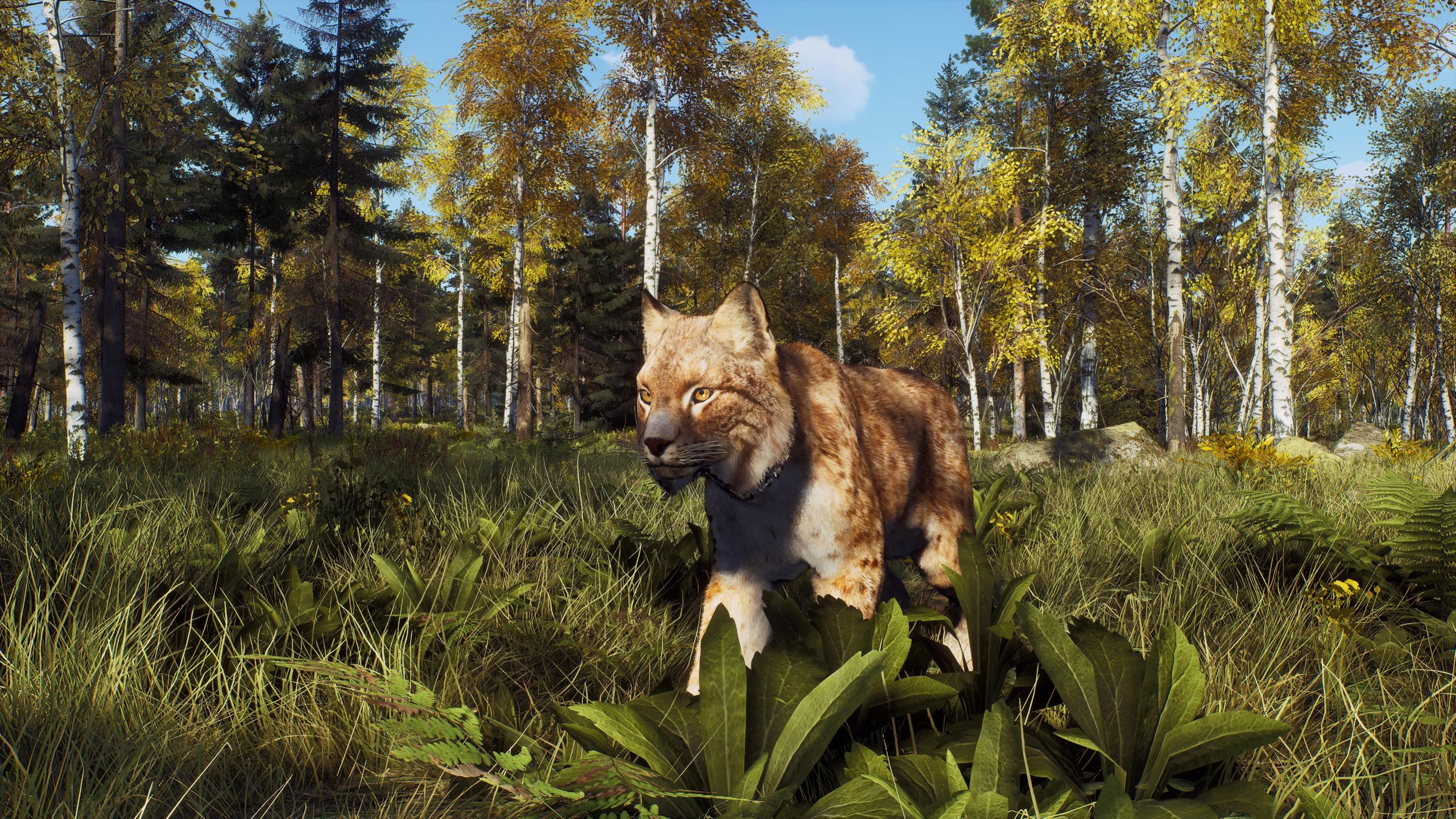 Way of the Hunter - Wild Expeditions - PlayStation 5 [video game]