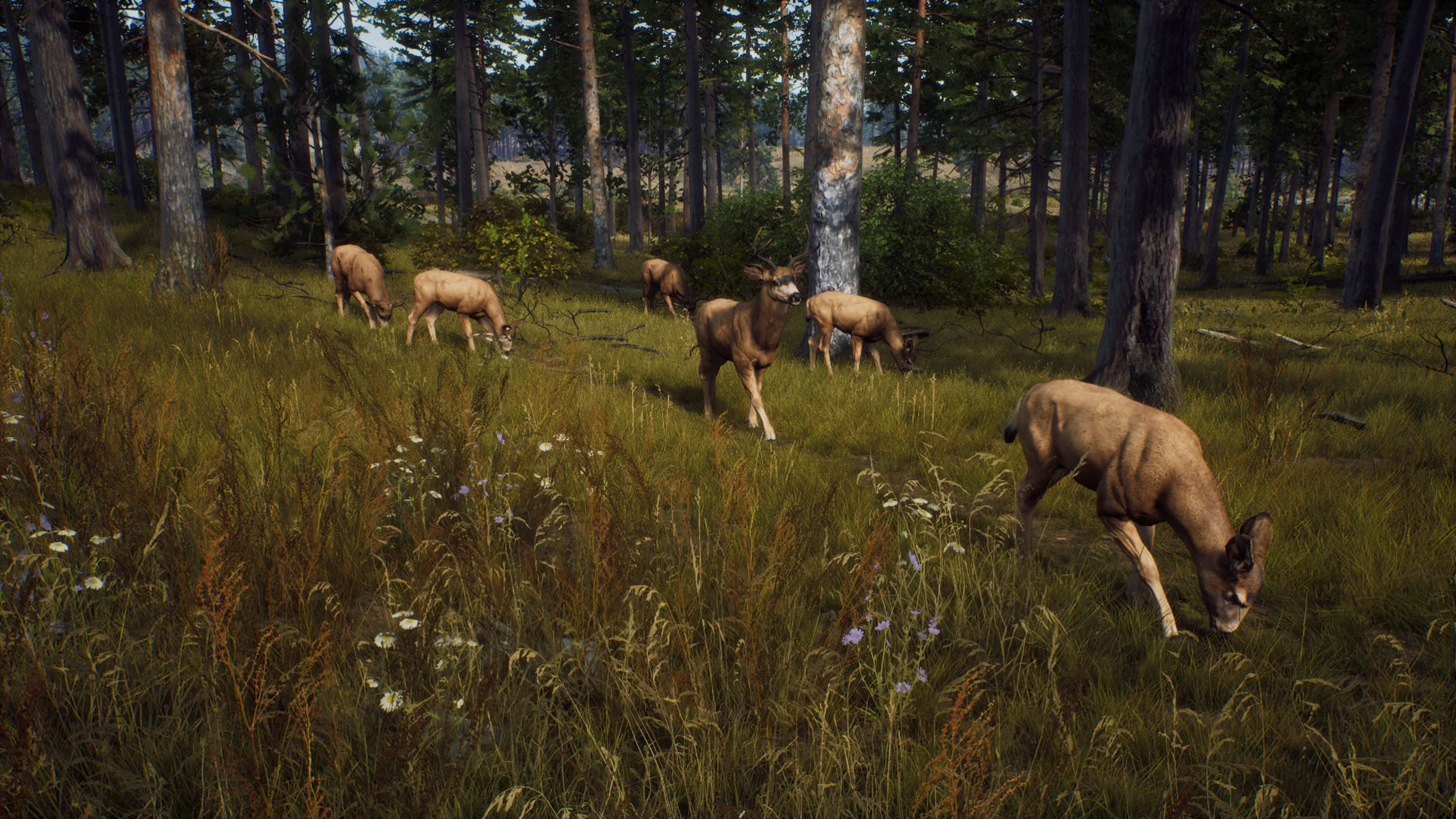Way of The Hunter - PlayStation 5