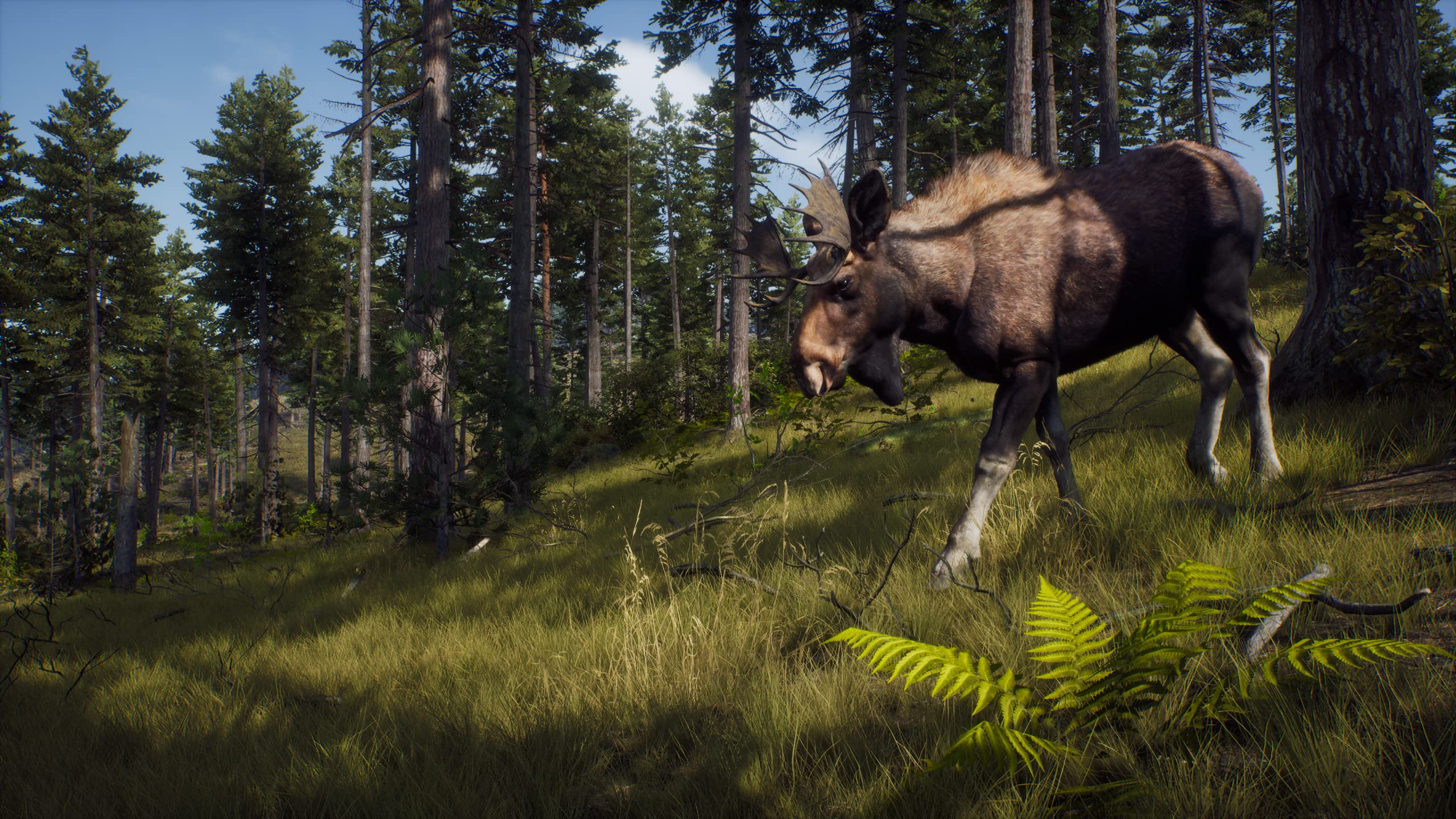 Way of The Hunter - PlayStation 5