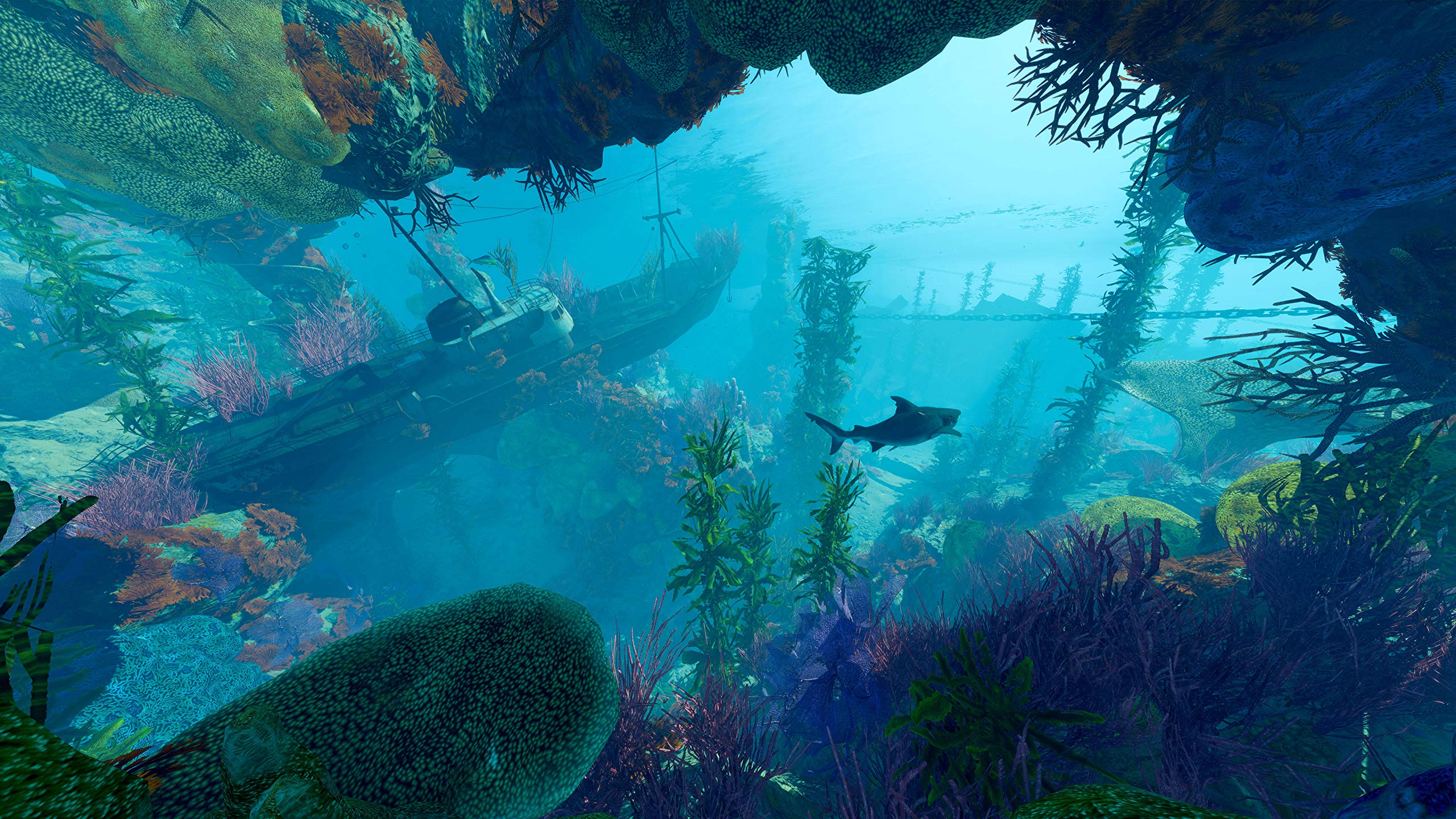 Maneater - Xbox One/Series X