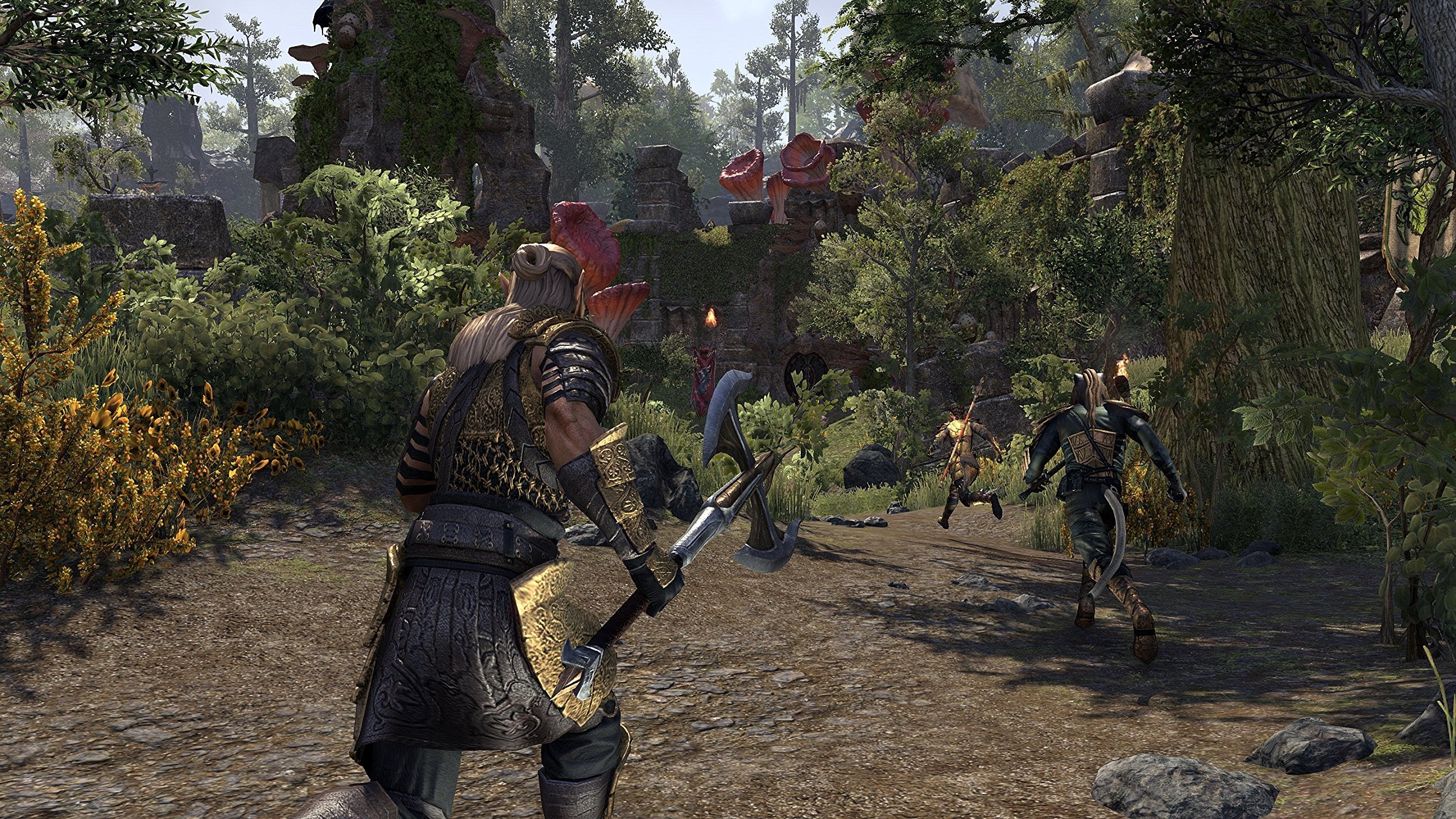 The Elder Scrolls Online: Morrowind - Xbox One