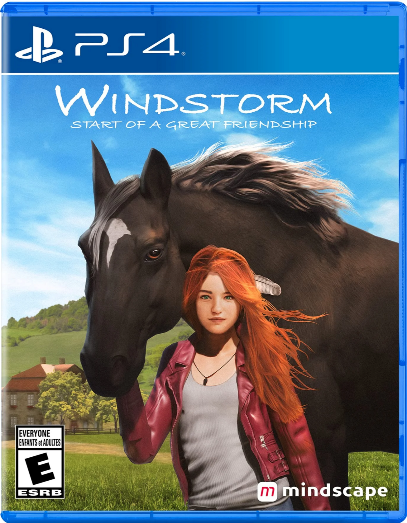 Windstorm: Start of a Great Friendship - PlayStation 4