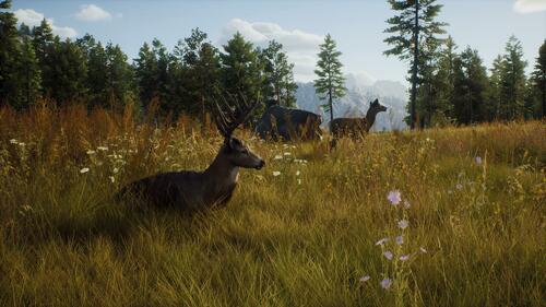 Way of The Hunter - PlayStation 5
