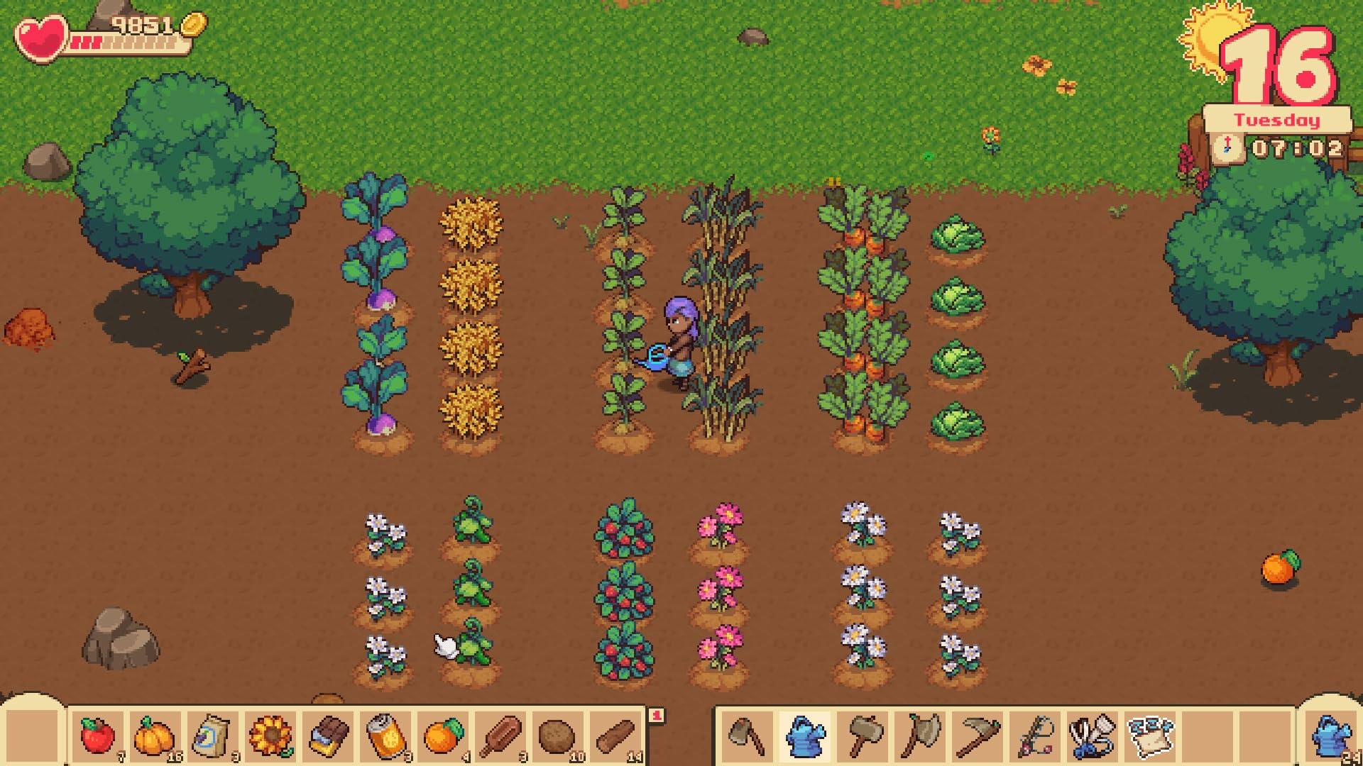 Orange Season - Nintendo Switch