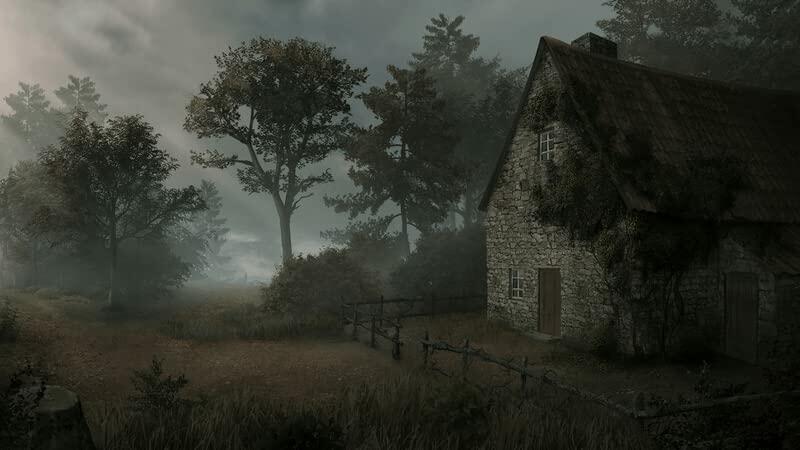 Saint Kotar for Nintendo Switch [video game]