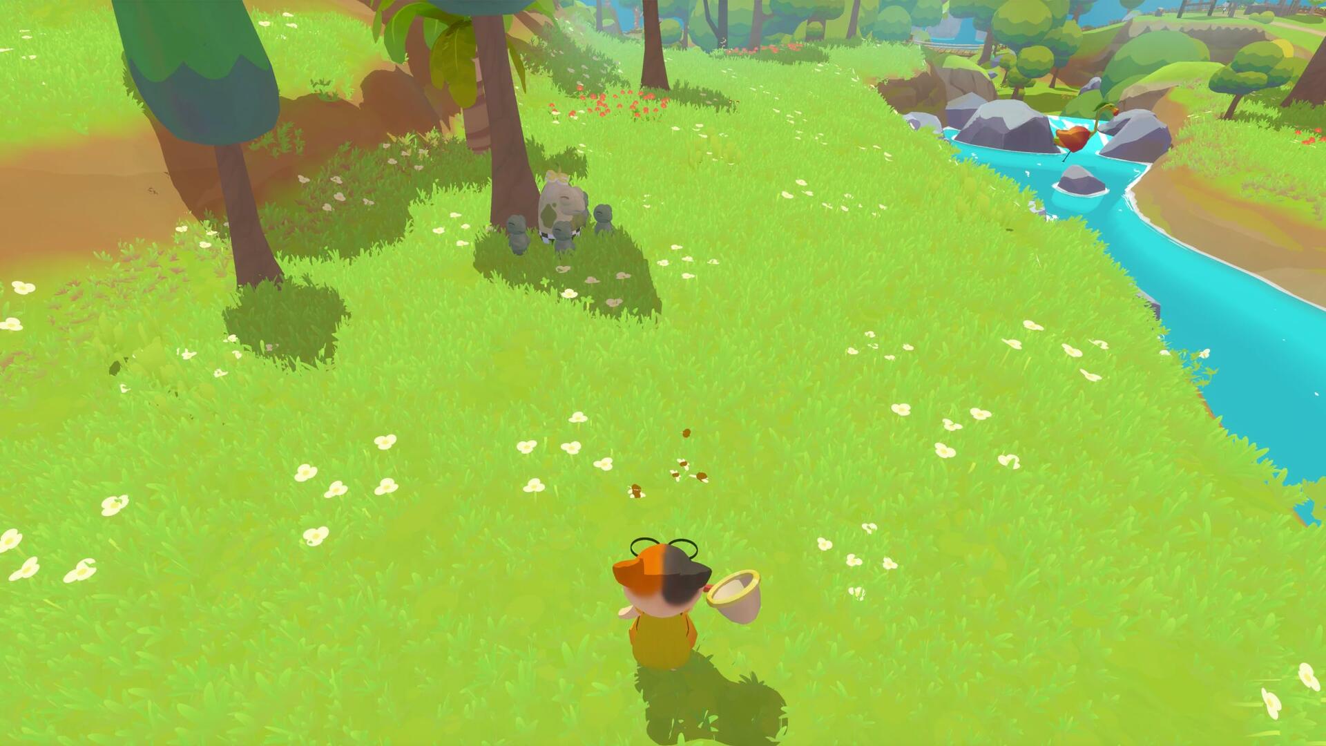 Petit Island for Playstation 5