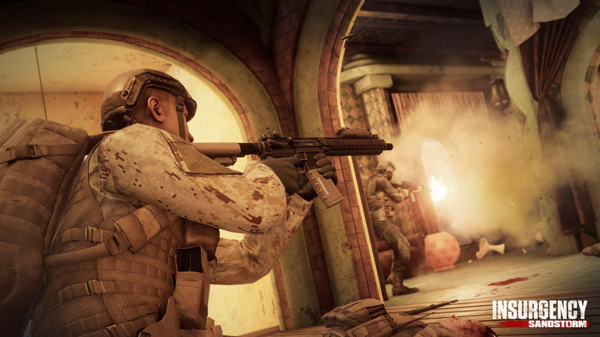 Insurgency: Sandstorm - PlayStation 4 [video game]