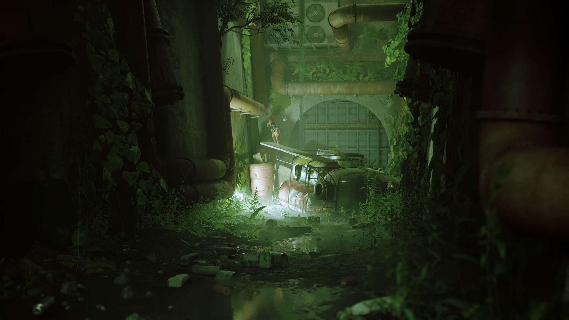 Stray - Xbox Series X