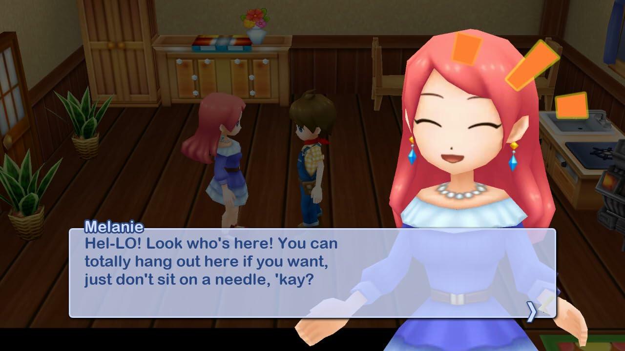 Harvest Moon: The Lost Valley & Skytree Village - Nintendo Switch [video game]