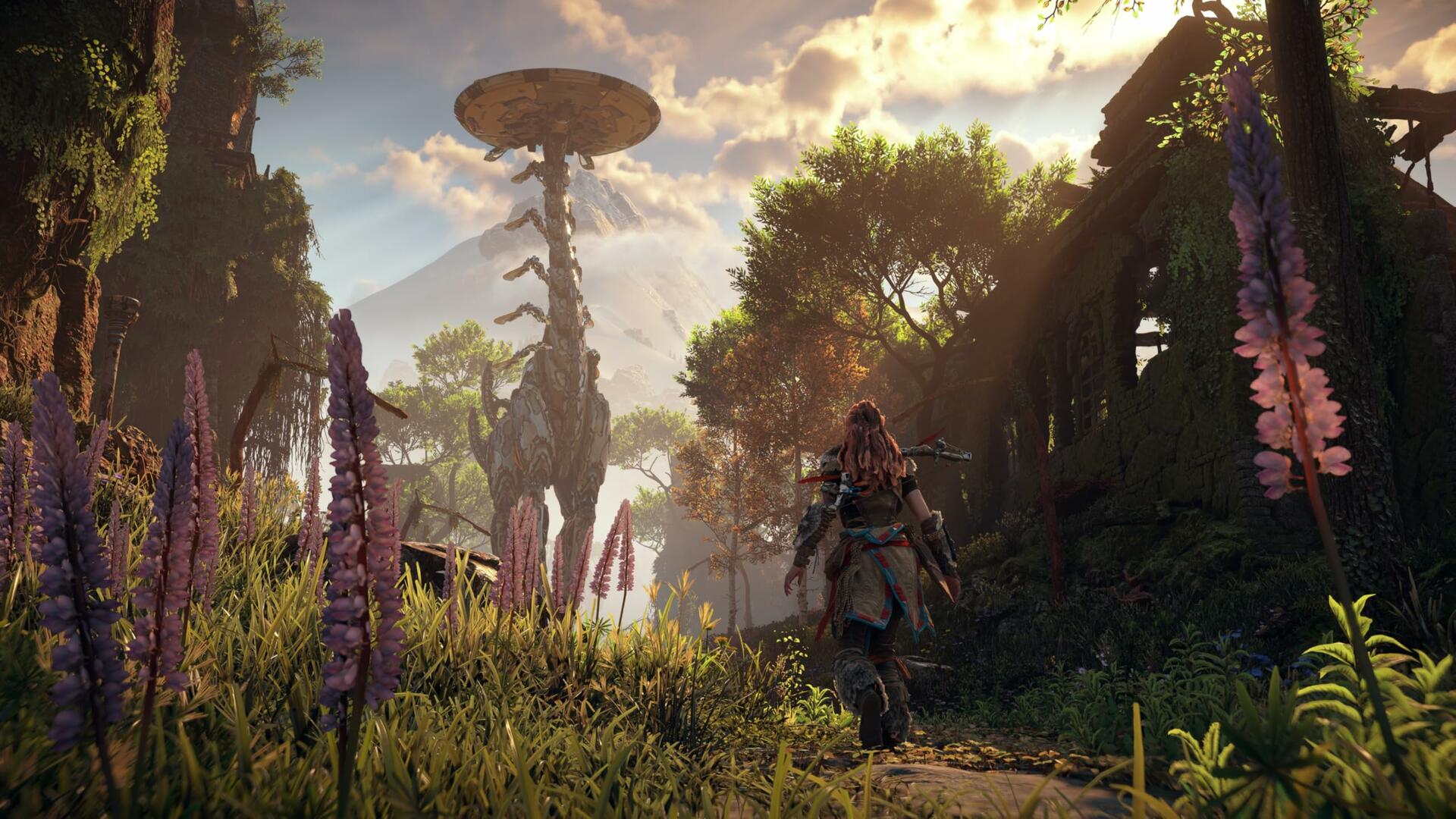 Horizon Zero Dawn Remastered PS5 [video game]