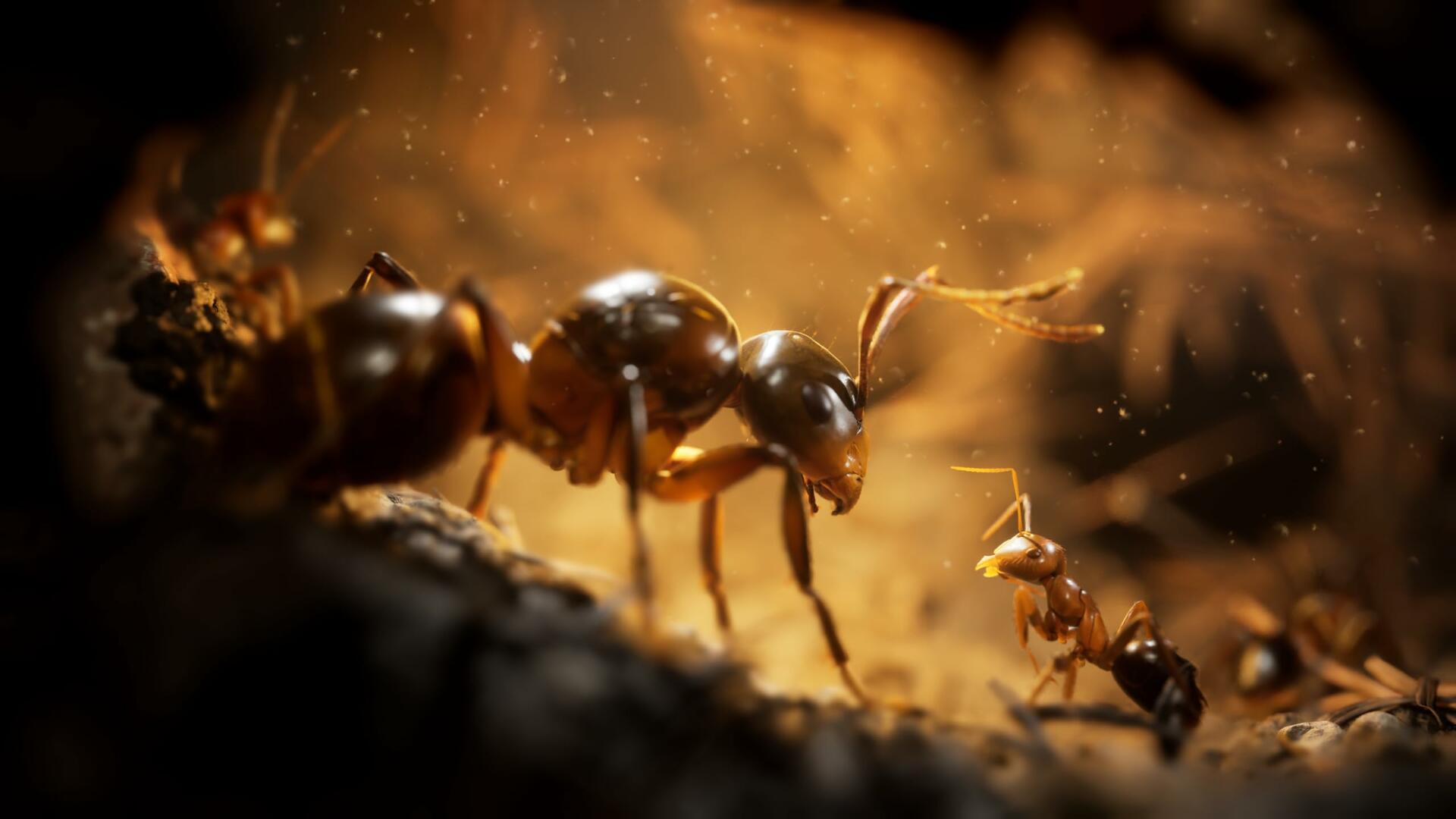 Empire of the Ants - PlayStation 5