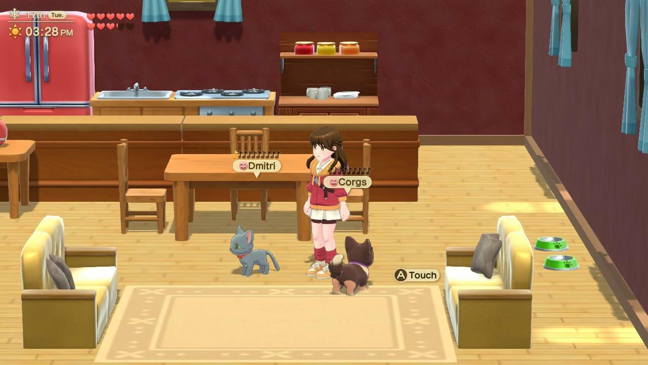 Harvest Moon: Home Sweet Home Special Edition - Nintendo Switch