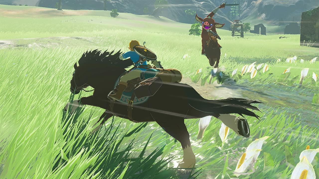 The Legend of Zelda: Breath of the Wild - US Version [video game]