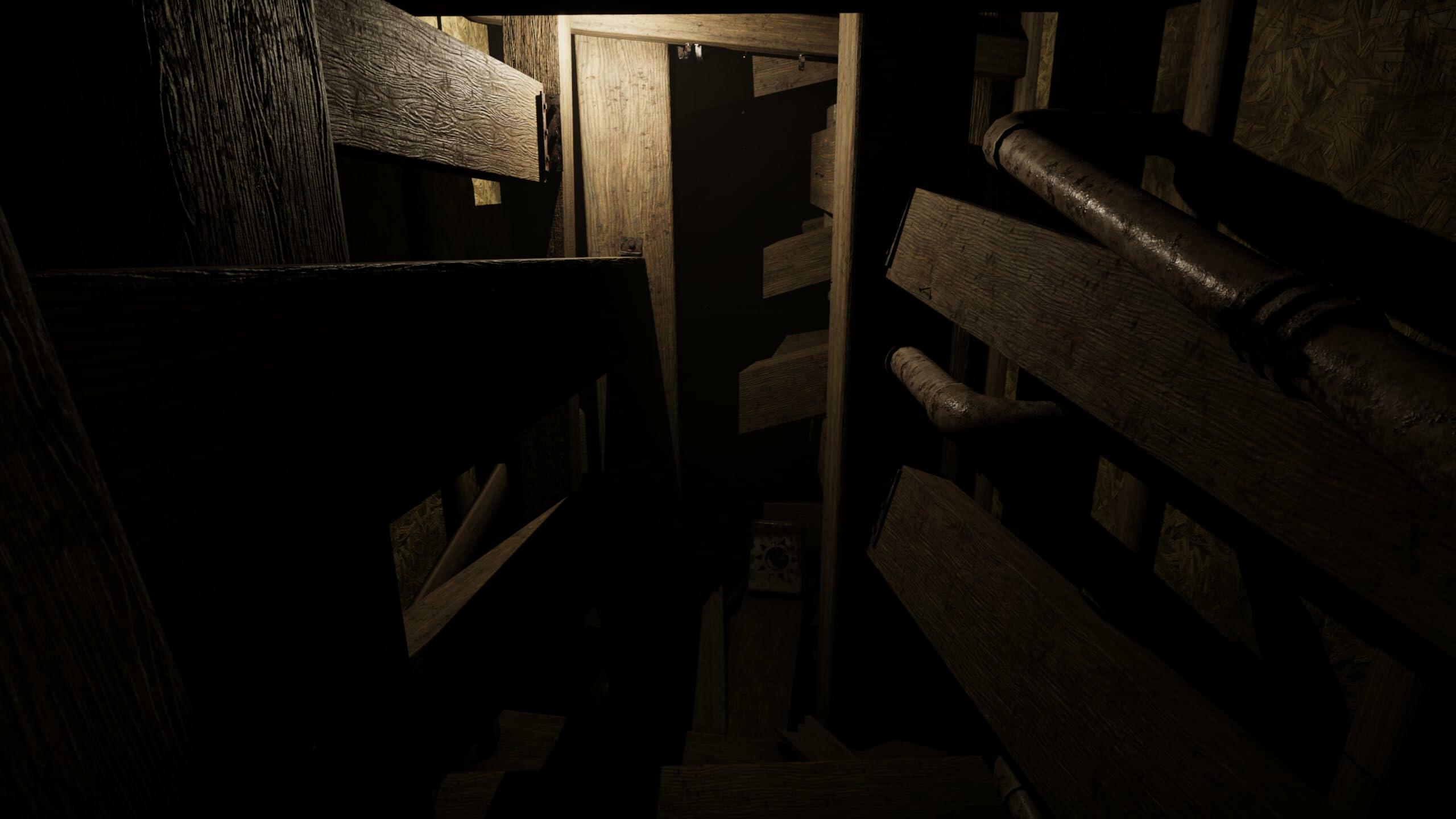 MADiSON VR - Cursed Edition