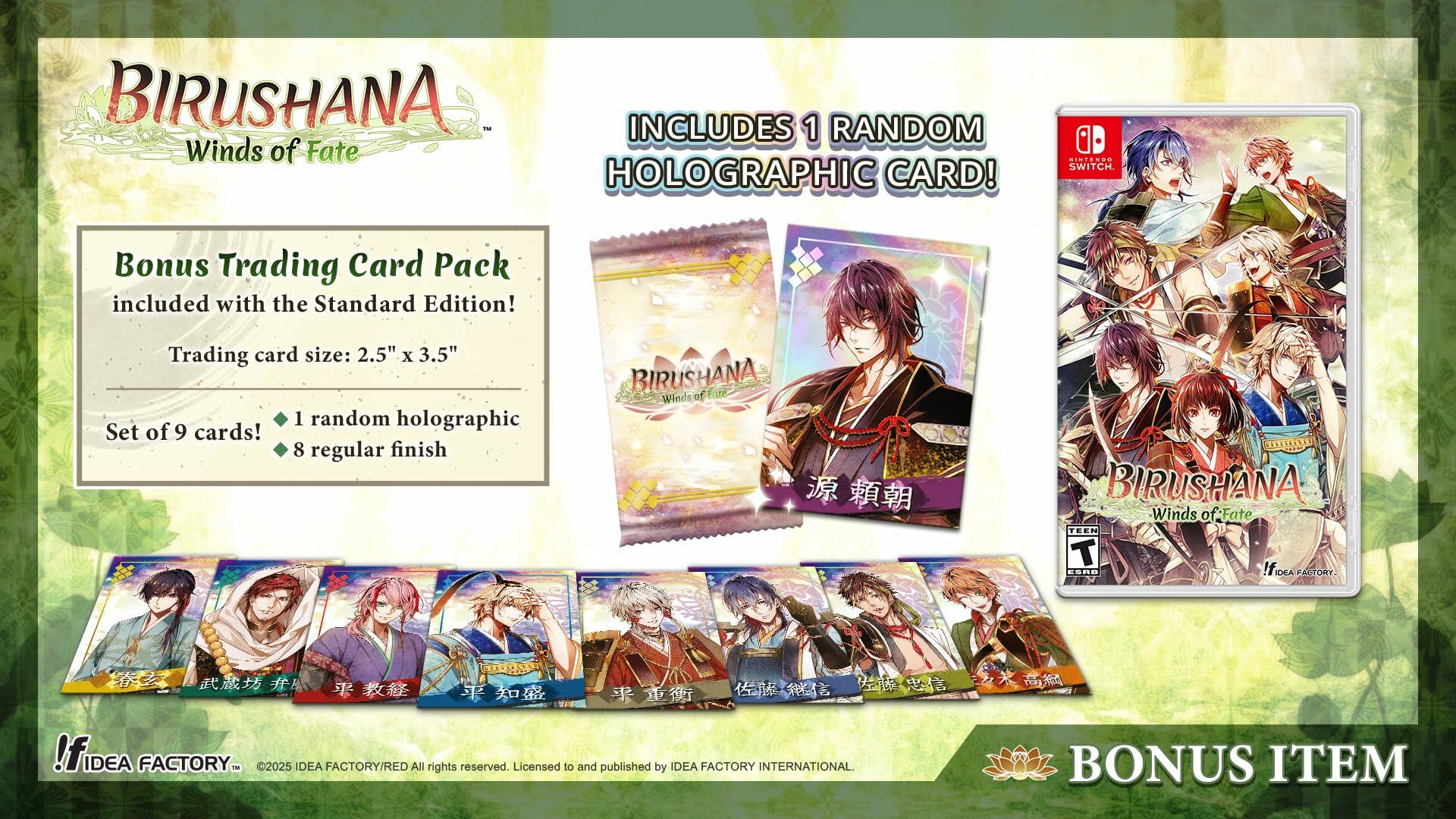 Birushana: Winds of Fate - Nintendo Switch