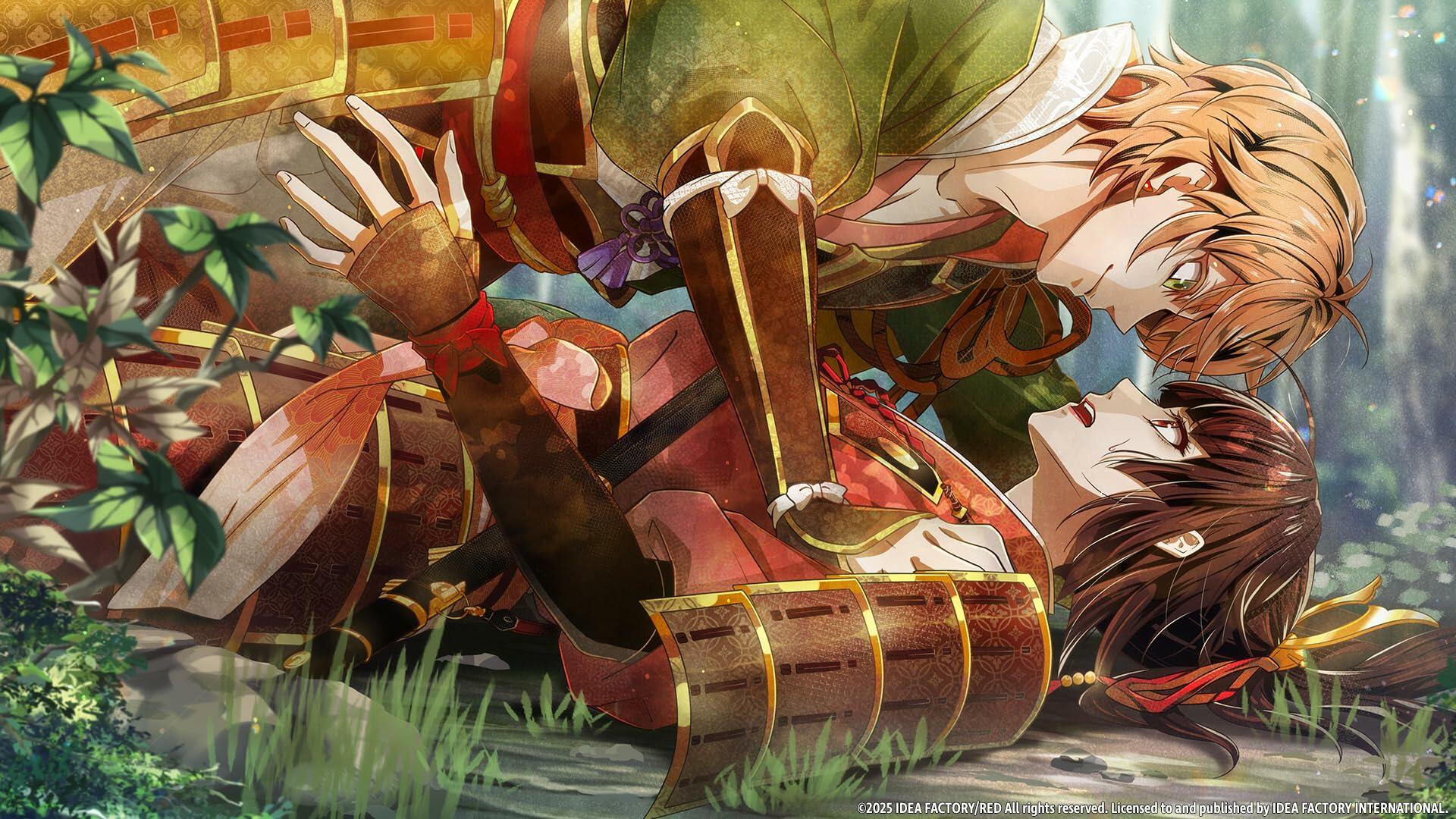 Birushana: Winds of Fate - Nintendo Switch